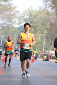 BIB: 22313
                            <button type="button" onclick="openModal(10356300)" class="btn btn-primary btn-sm float-right btn-popup" data-toggle="modal" data-target=".modal-high-quality">
                        <i class="fas fa-shopping-cart"></i> Add to Cart
                    </button>
                                            <button type="button" onclick="isThisMe(10356300, true)" class="btn btn-success btn-sm float-right btn-popup btn-isme hidden" data-toggle="tooltip" data-placement="bottom" title="นี่คือรูปของคุณใช่ไหม คลิกที่นี่เพื่อเอาเข้าอัลบั้ม">
                        <i class="fas fa-plus"></i> Add to album
                    </button>
                    <button type="button" onclick="isThisMe(10356300, false)" class="btn btn-warning btn-sm float-right btn-popup btn-isnotme hidden">
                        <i class="fas fa-ban"></i> Remove from album
                    </button>
